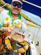 Load image into Gallery viewer, BROWN Mud CRAB Measure 120mm
